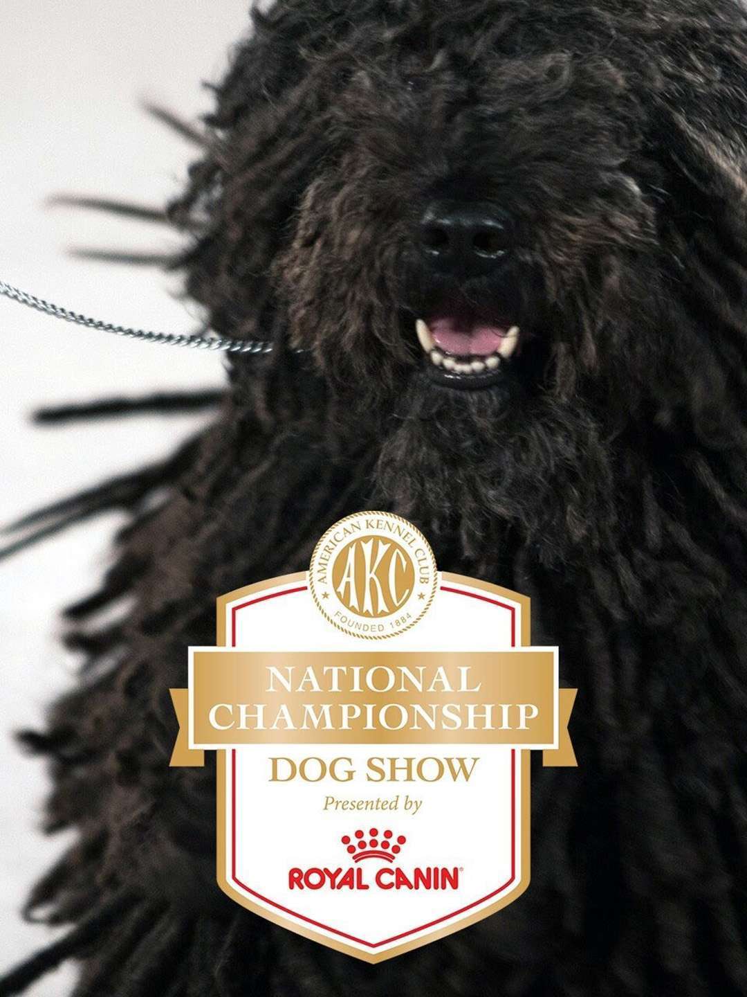 AKC National Dog Championship December 31 2023 on ABC TV Regular