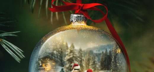 p25914986 b v13 ab 1