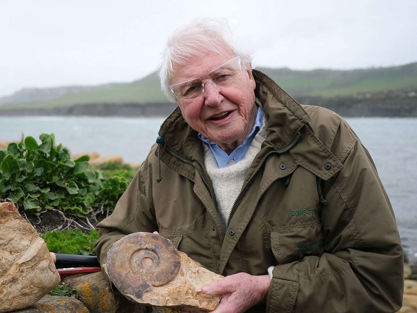 Attenborough and the Giant Sea Monster 1 January 2024 on BBC One 1 Attenborough and the Giant Sea Monster 1 January 2024 on BBC One