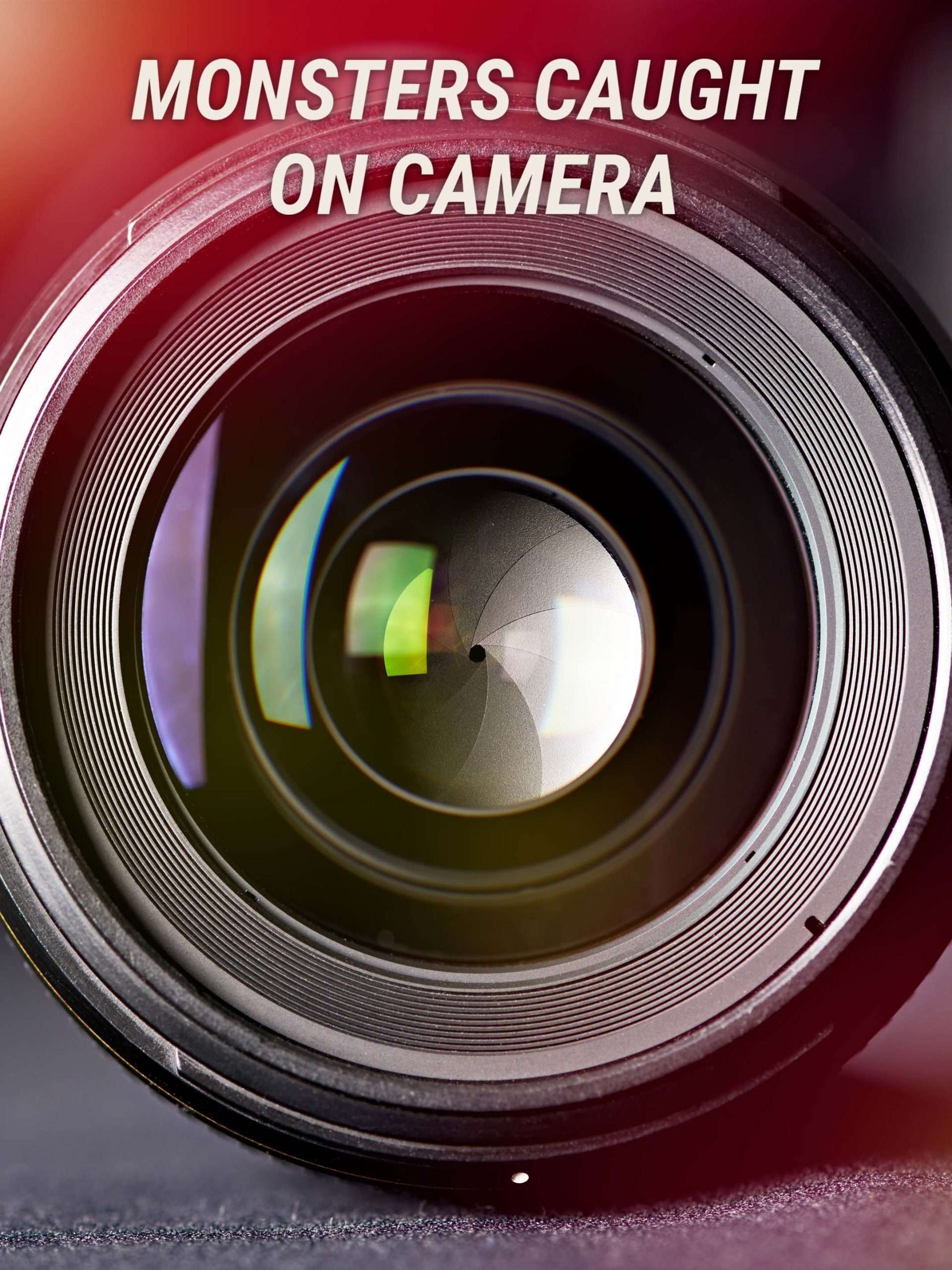 Monsters Caught on Camera S1 February 4 2024 on Travel 1 Monsters Caught on Camera S1 February 4 2024 on Travel