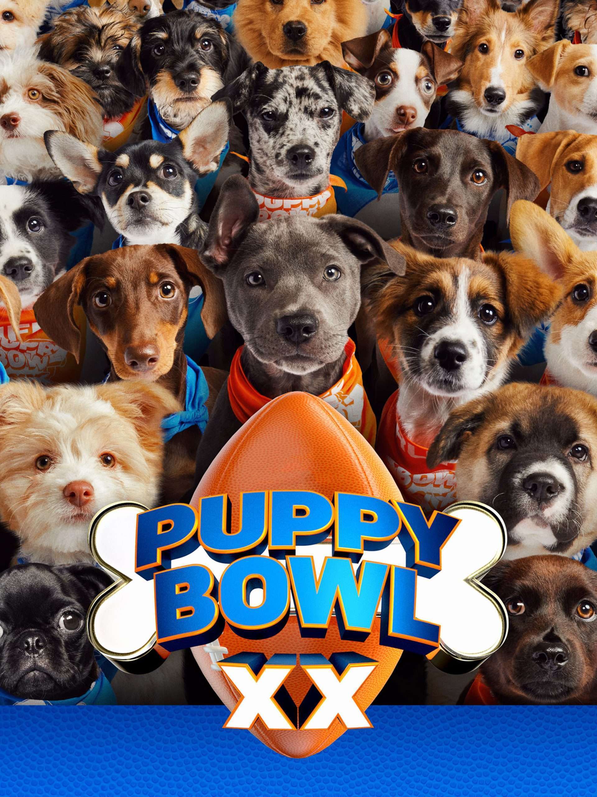 Puppy Bowl XX "Puppy Bowl Presents 20 Years of Puppies" February 3