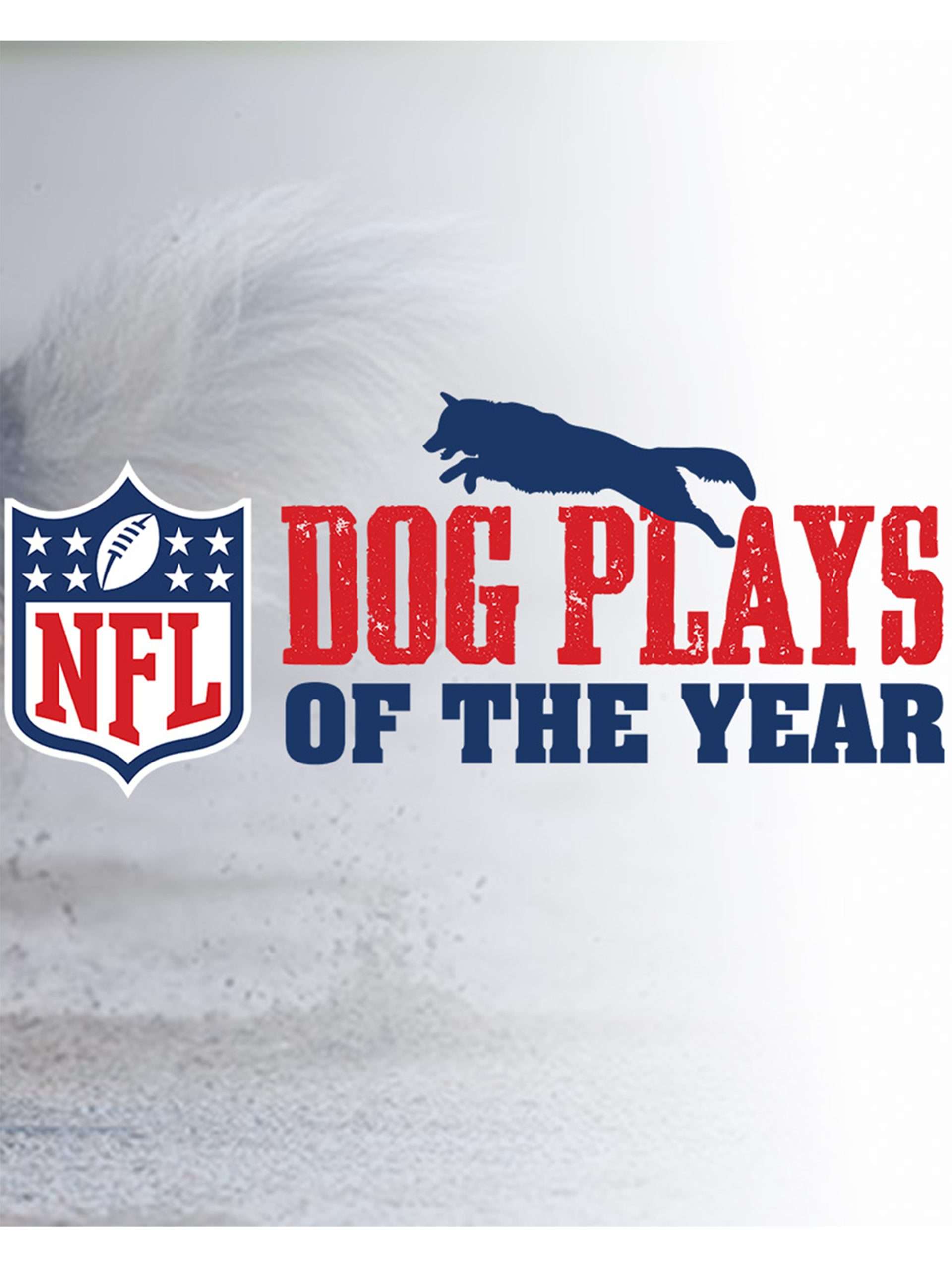 NFL Dog Plays of the Year February 2 2024 on ESPN 1 NFL Dog Plays of the Year February 2 2024 on ESPN