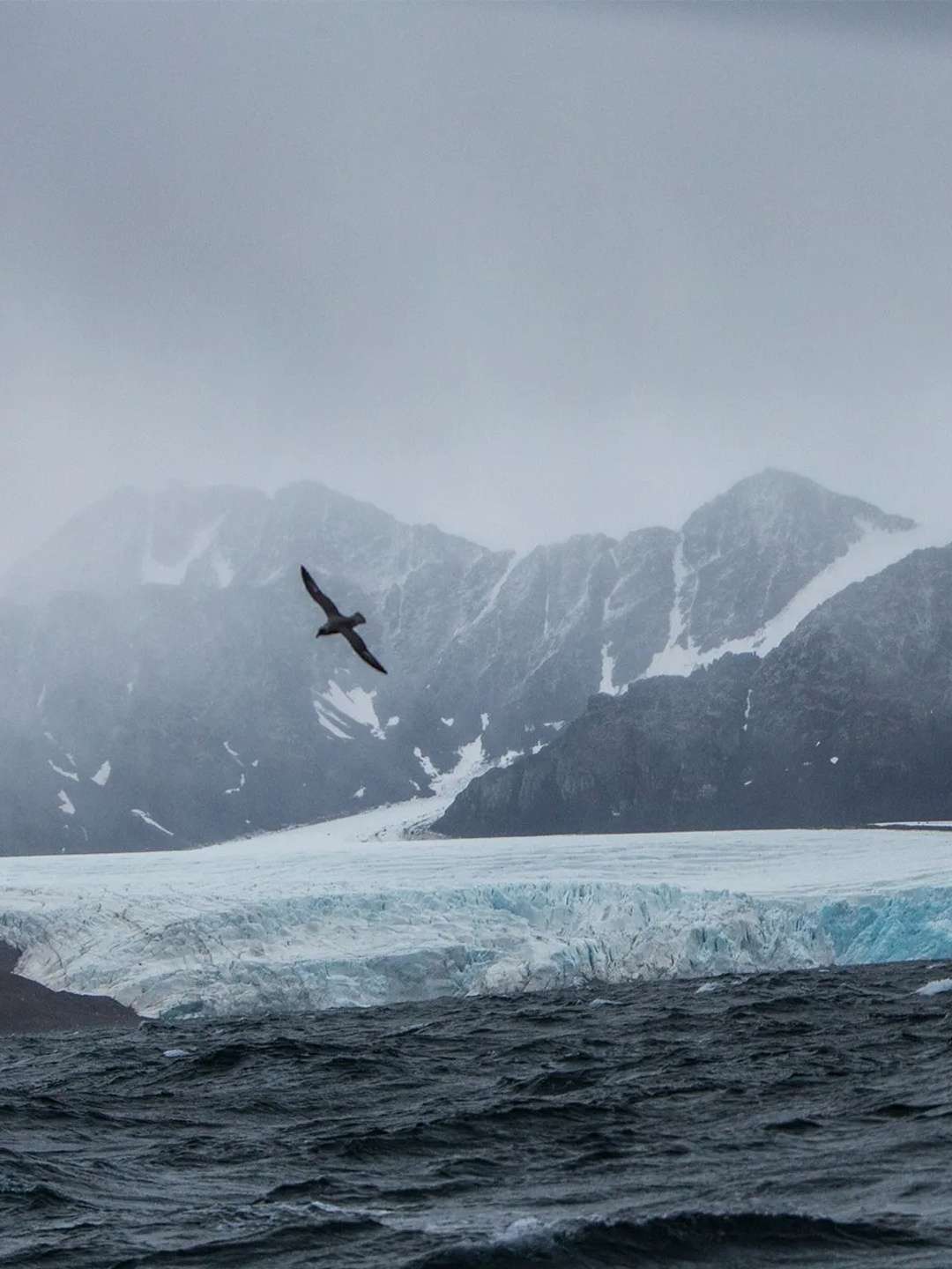 Operation Arctic Cure February 19 2024 on National Geographic 1 Operation Arctic Cure February 19 2024 on National Geographic