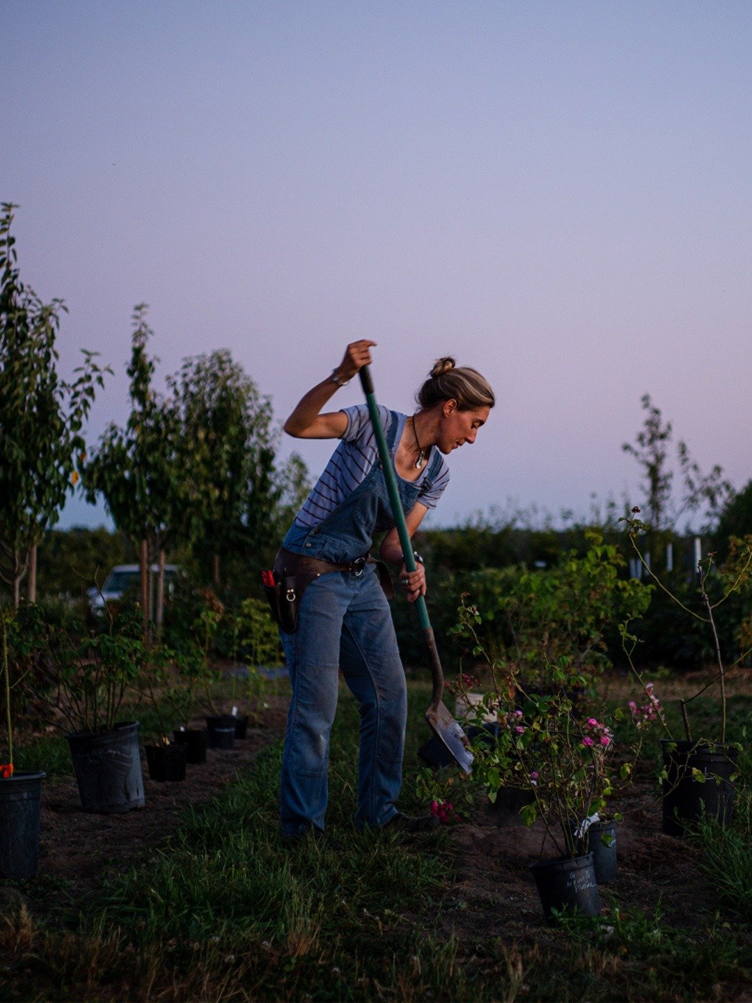 Growing Floret Growing Floret “Cultivating Balance” S2E4 April 19 2024 on Magnolia