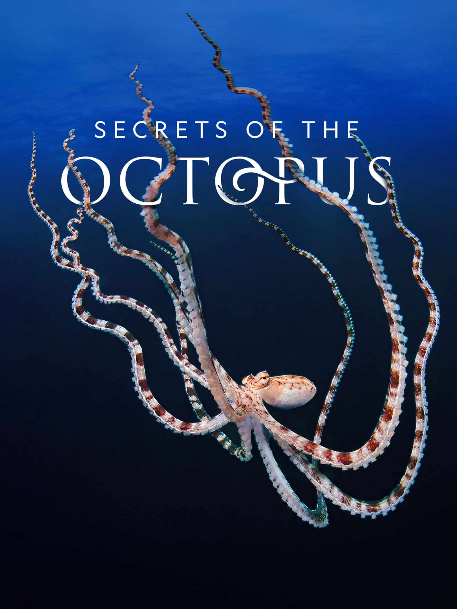 Secrets of the Octopus Secrets of the Octopus “Social Networkers” S1E3 April 21 2024 on National Geographic