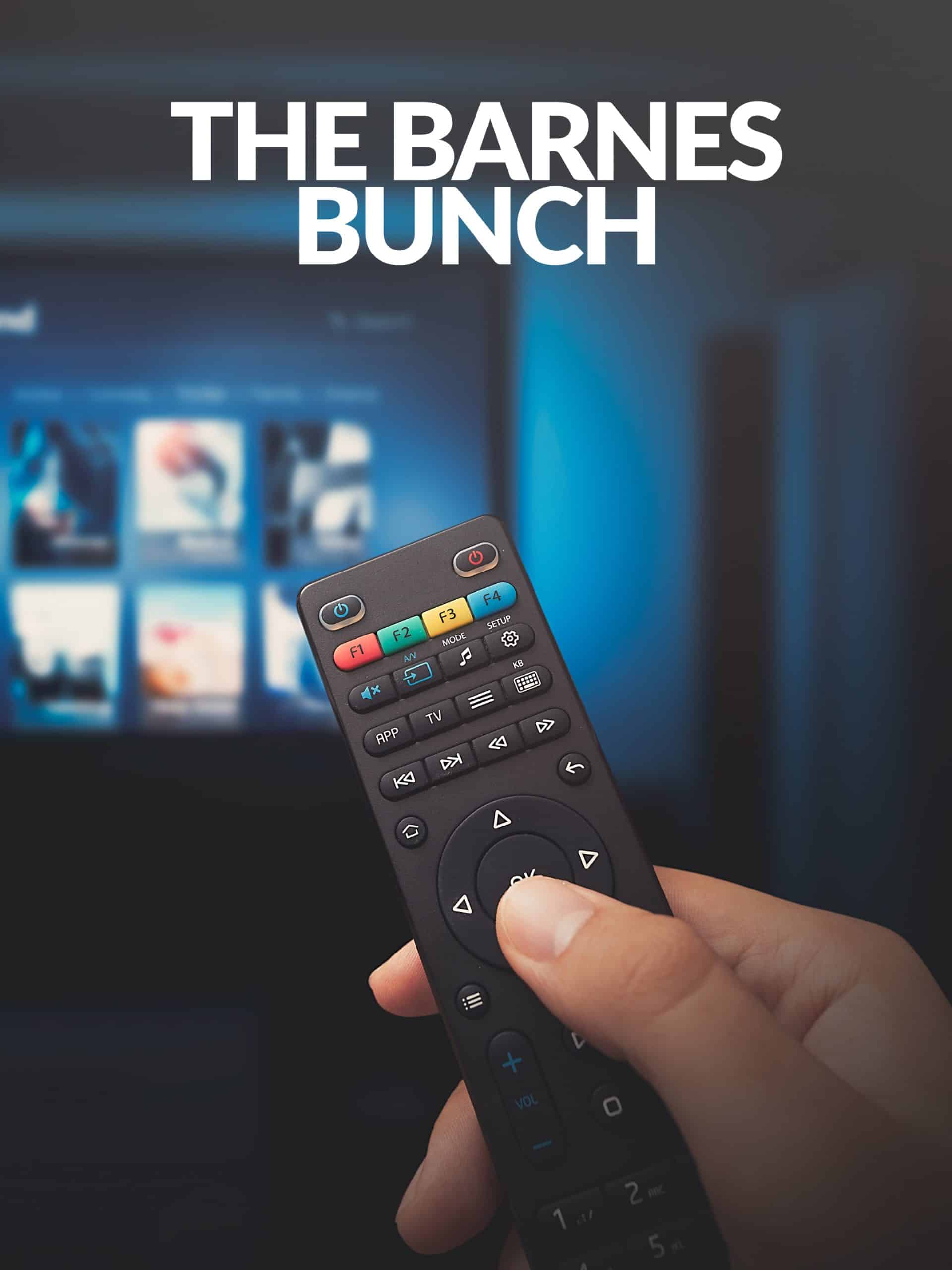 The Barnes Bunch “Co-Parenting, Co-Problems” S1E2 April 26 2024 on WE tv