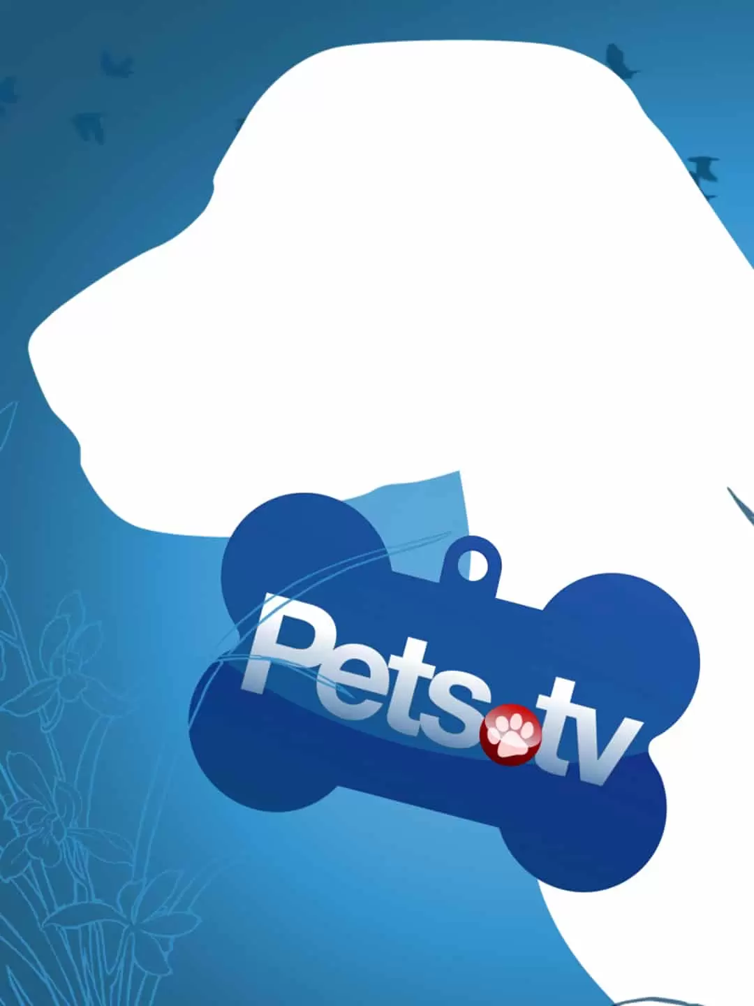Pets.TV Pets.TV “The Great Wildebeest Migration” E3 April 27 2024 on CBS