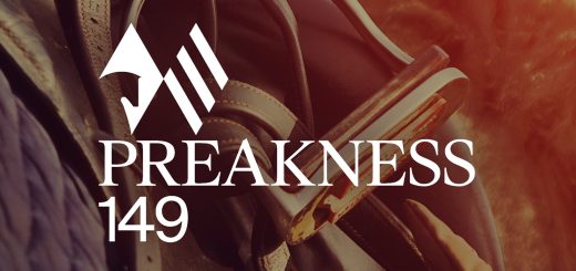 p26951013 b v13 aa 1