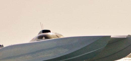 p27298279 b v10 aa 1