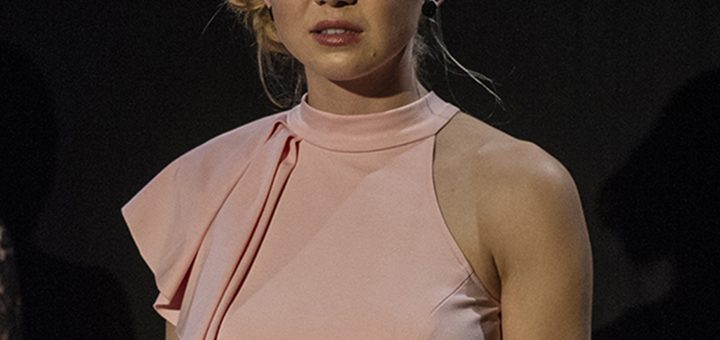 p27340919 b v13 aa