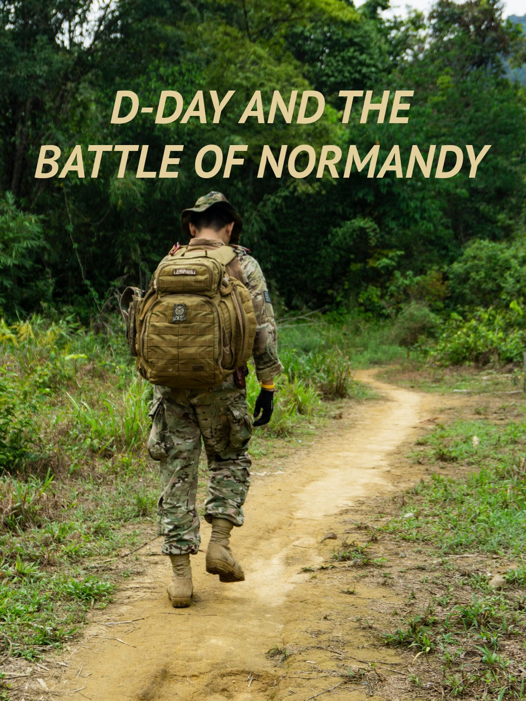 D-Day and The Battle Of Normandy  June 8 2024 on Smithsonian