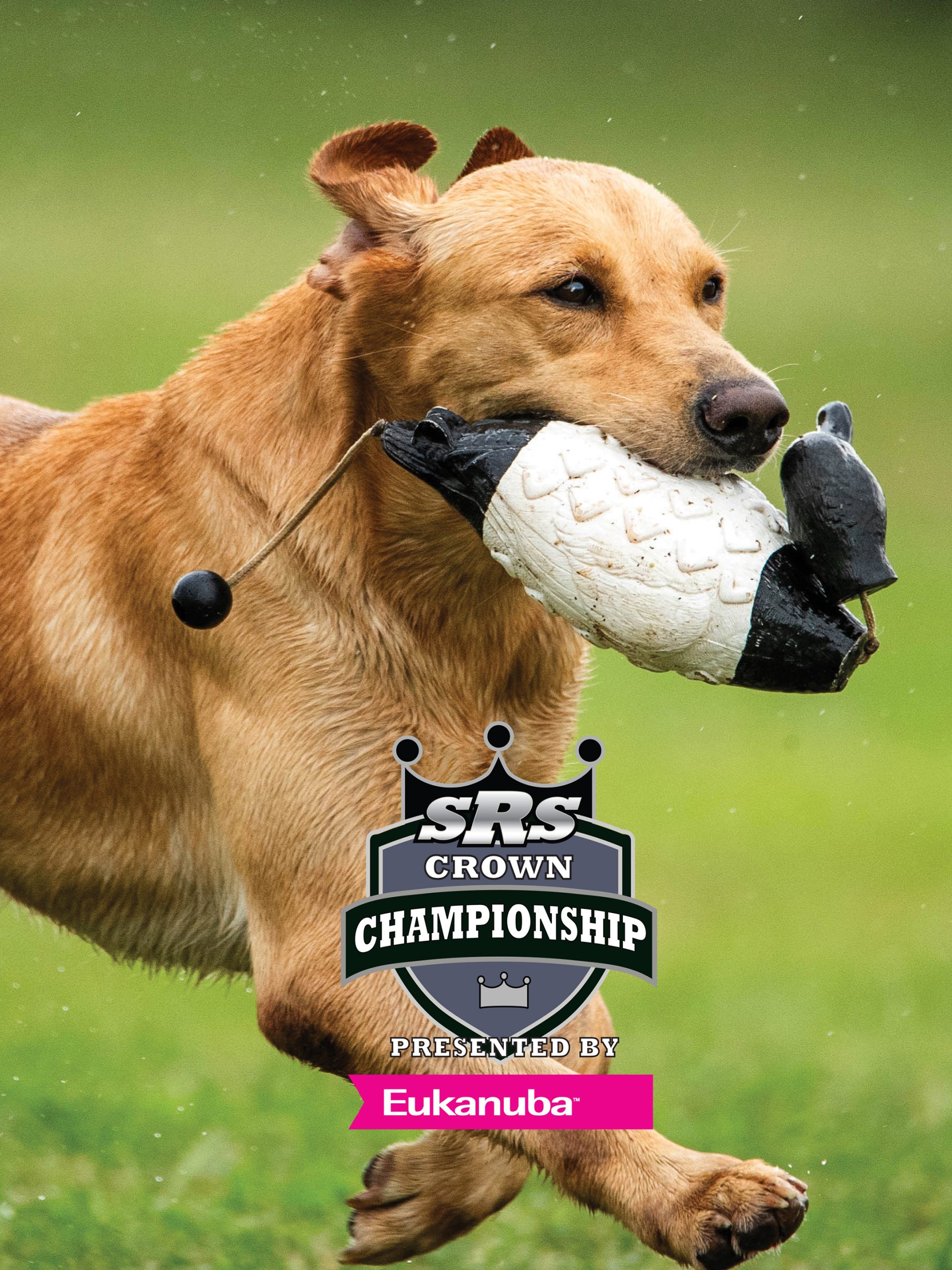 The Super Retriever Series Crown Championship “Super Retriever Series: Crown Championship Open Division Champions” E2 June 29 2024 on Discovery