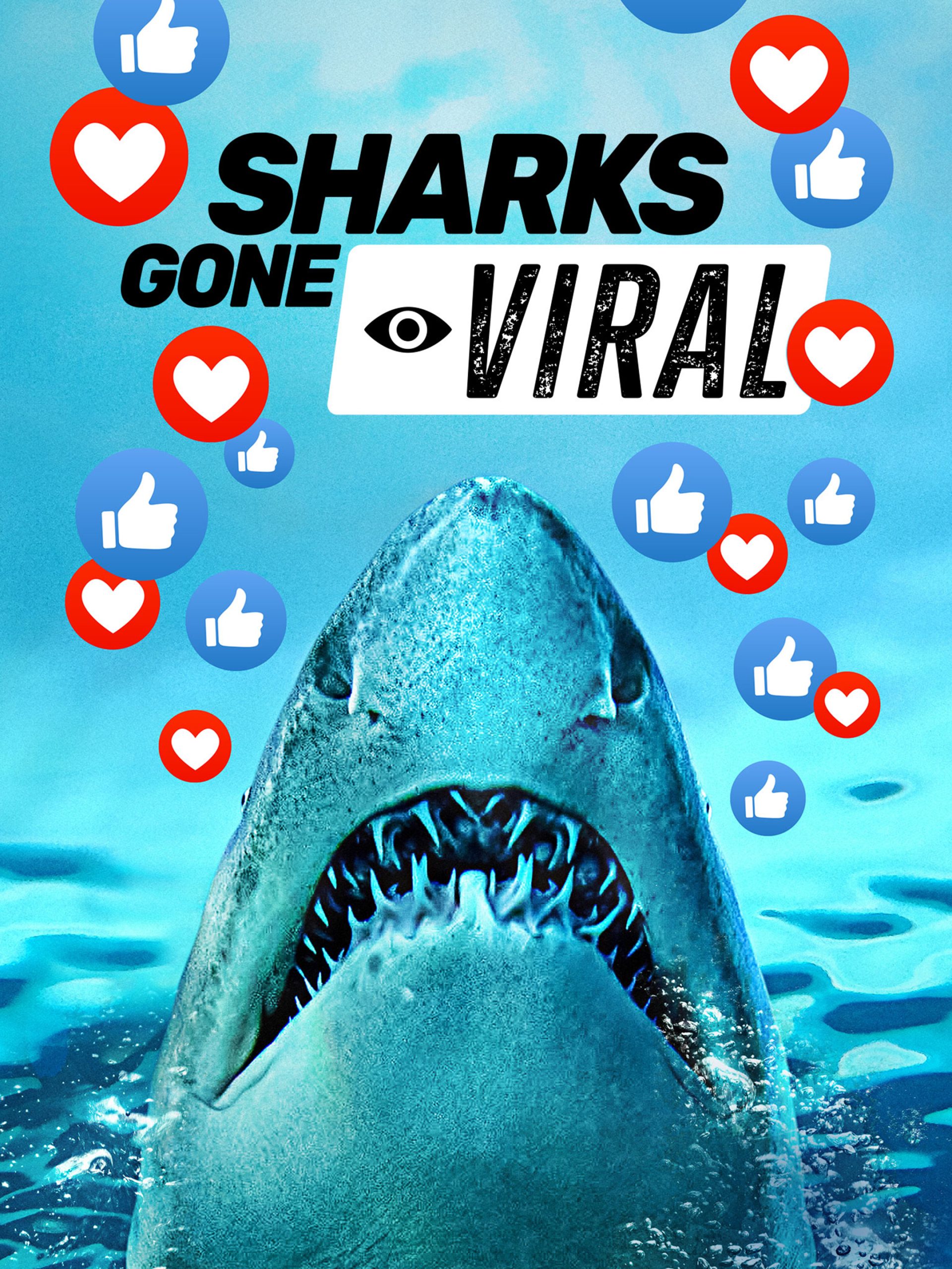 Sharks Gone Viral  July 1 2024 on National Geographic