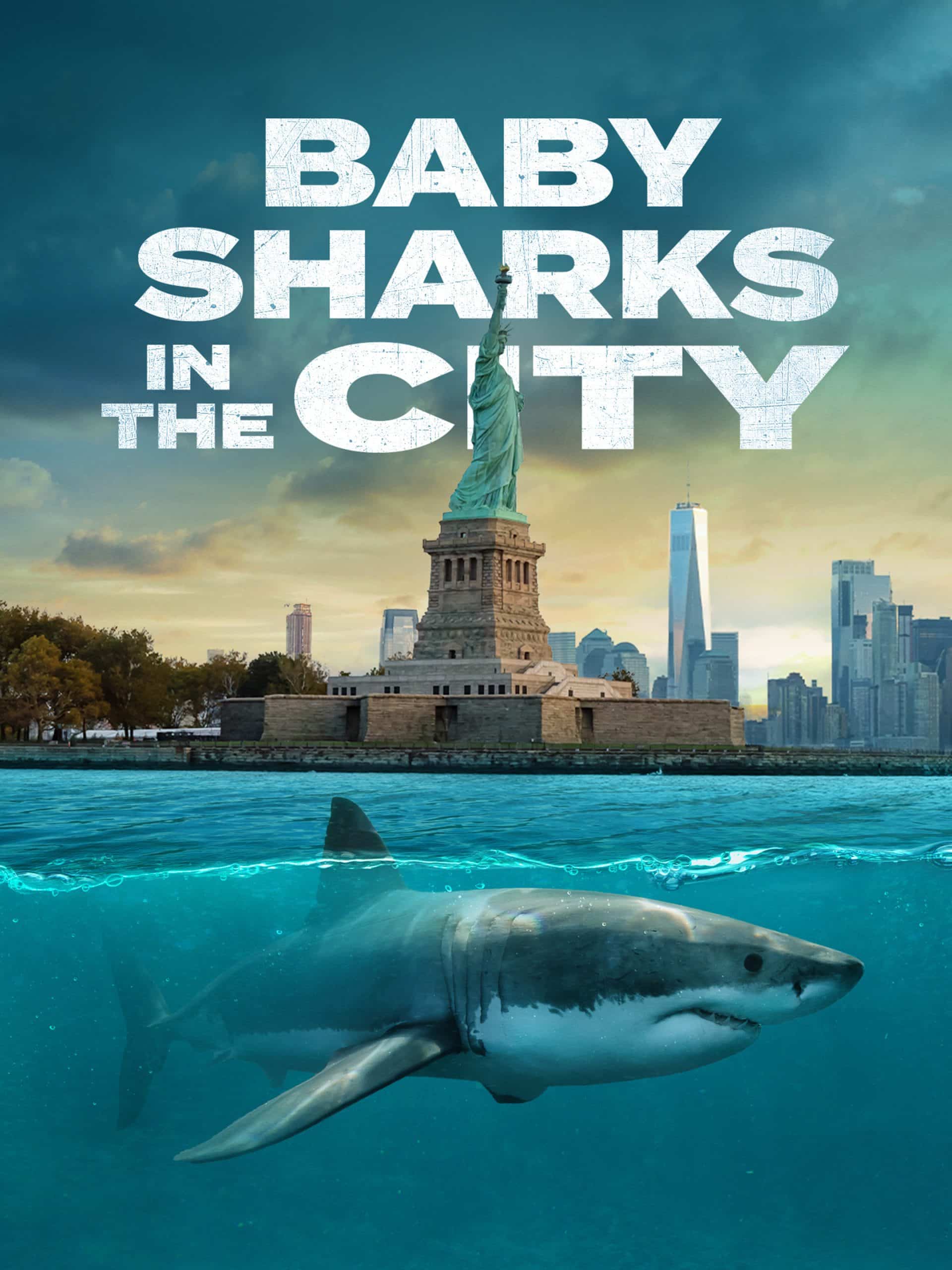 Baby Sharks in the City  July 2 2024 on National Geographic