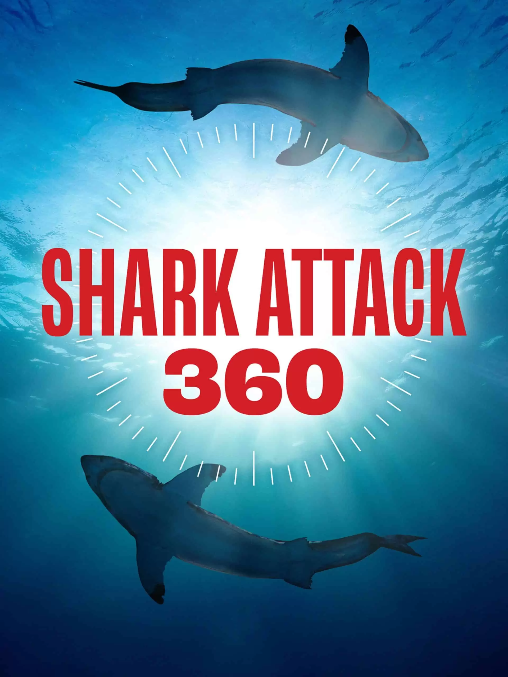 Shark Attack 360 “Anatomy of a Bite: Swimmers Beware” S1 July 9 2026 on National Geographic