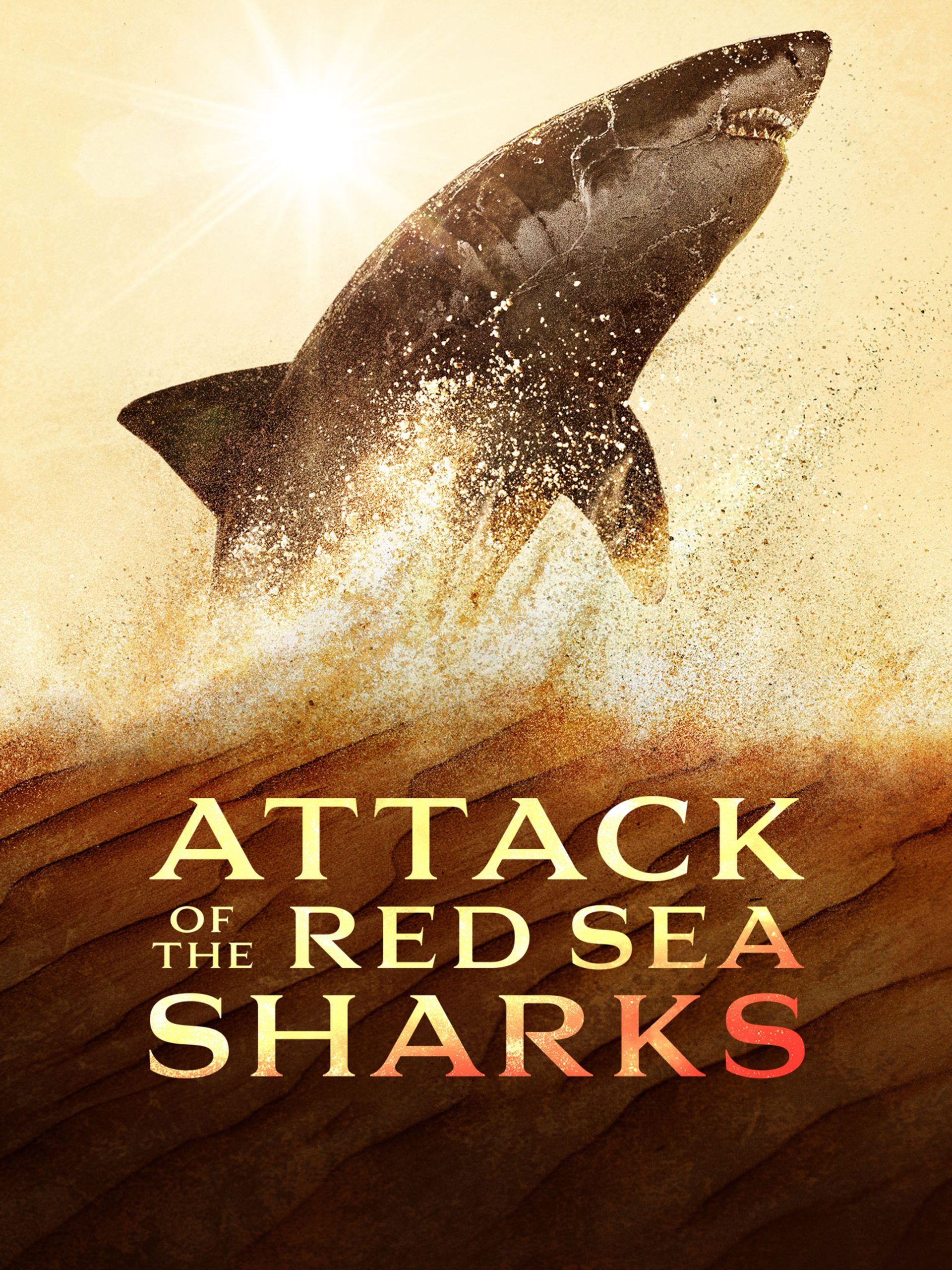 Attack of the Red Sea Sharks July 7 2024 on National Geographic 1 Attack of the Red Sea Sharks July 7 2024 on National Geographic