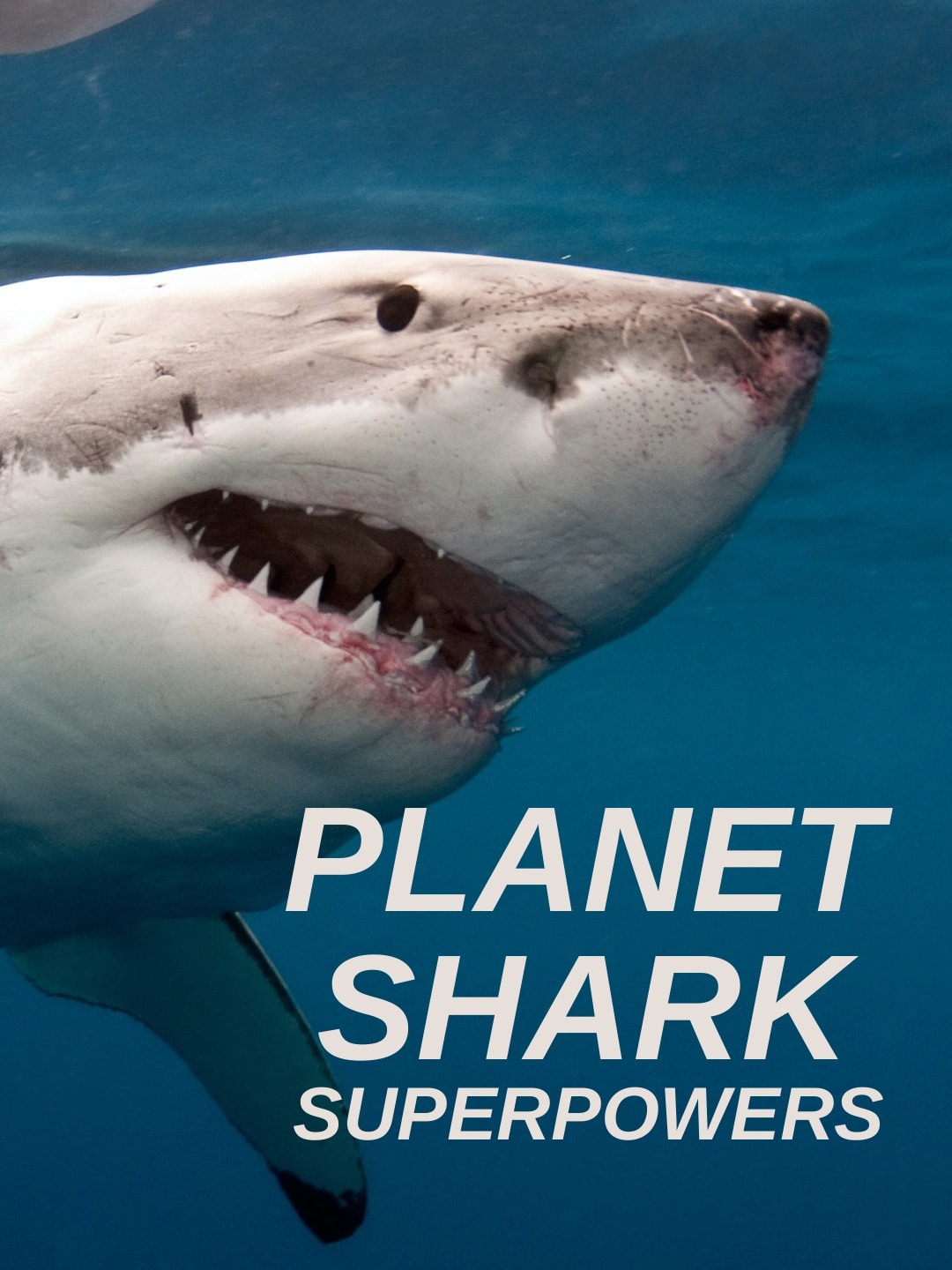 Planet Shark: Superpowers  July 13 2024 on National Geographic