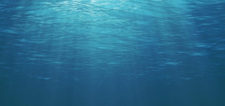 p27367798 b v13 aa