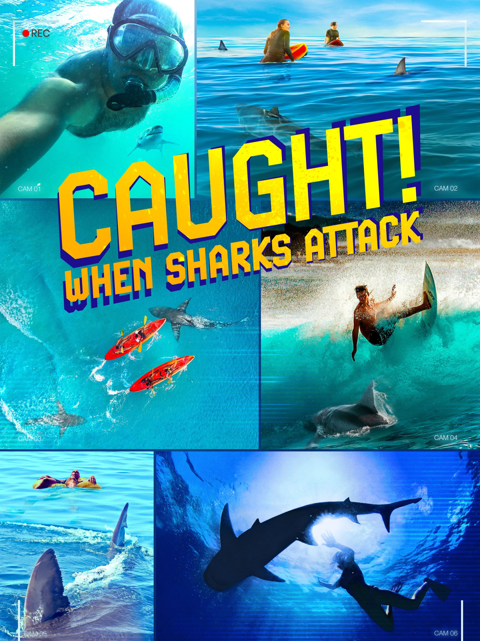 Caught! When Sharks Attack  July 11 2024 on Discovery