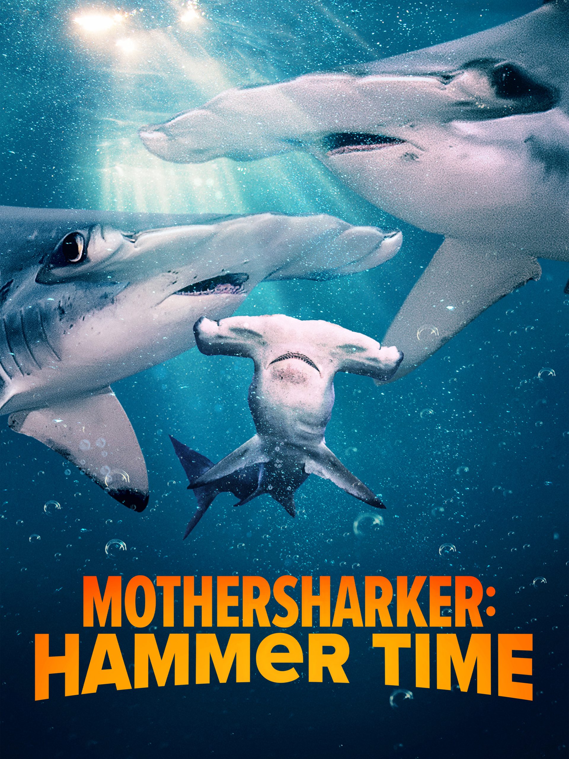 Mothersharker: Hammer Time  July 13 2024 on Discovery