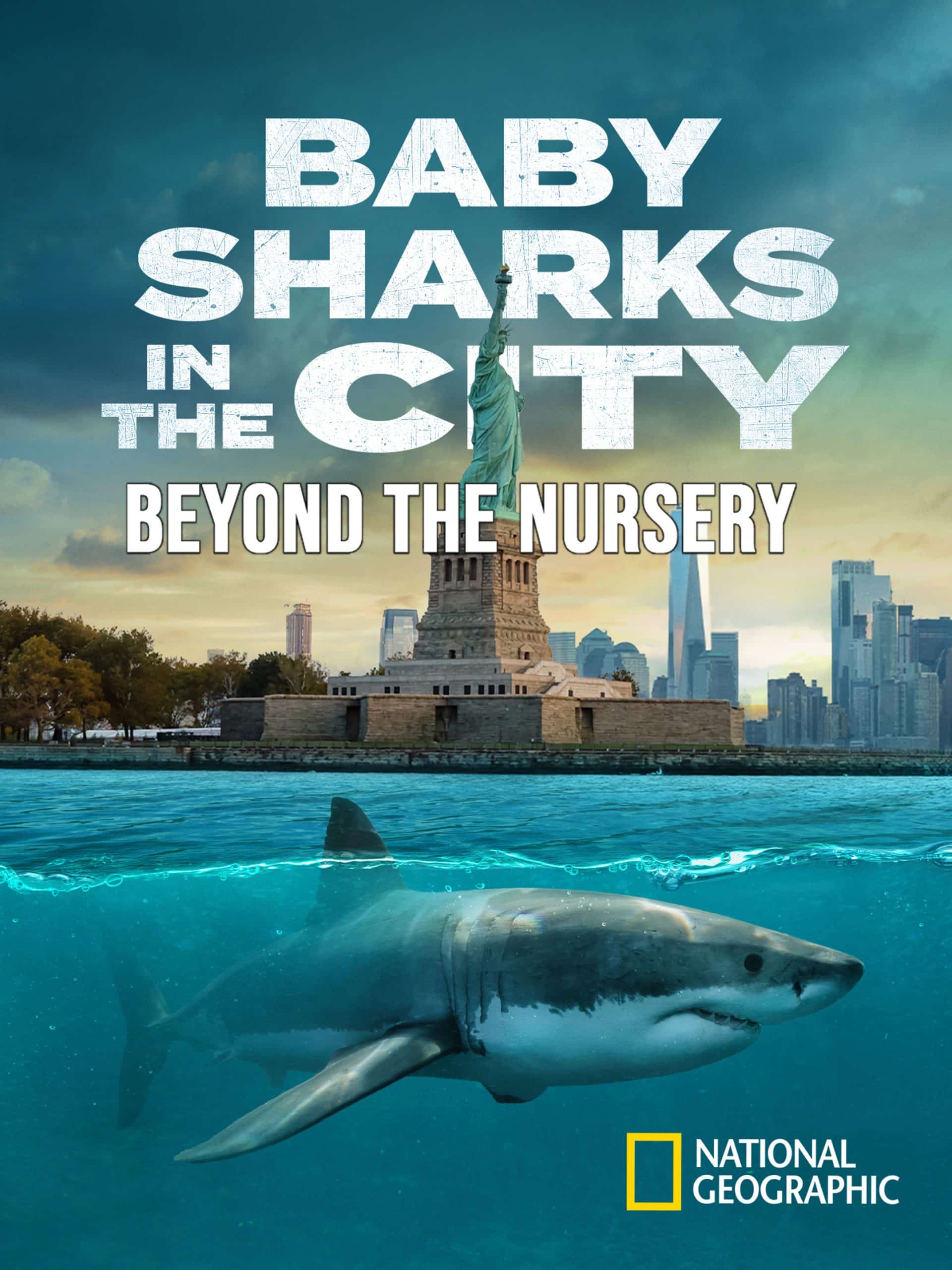 Baby Sharks in the City: Beyond the Nursery  July 14 2024 on National Geographic