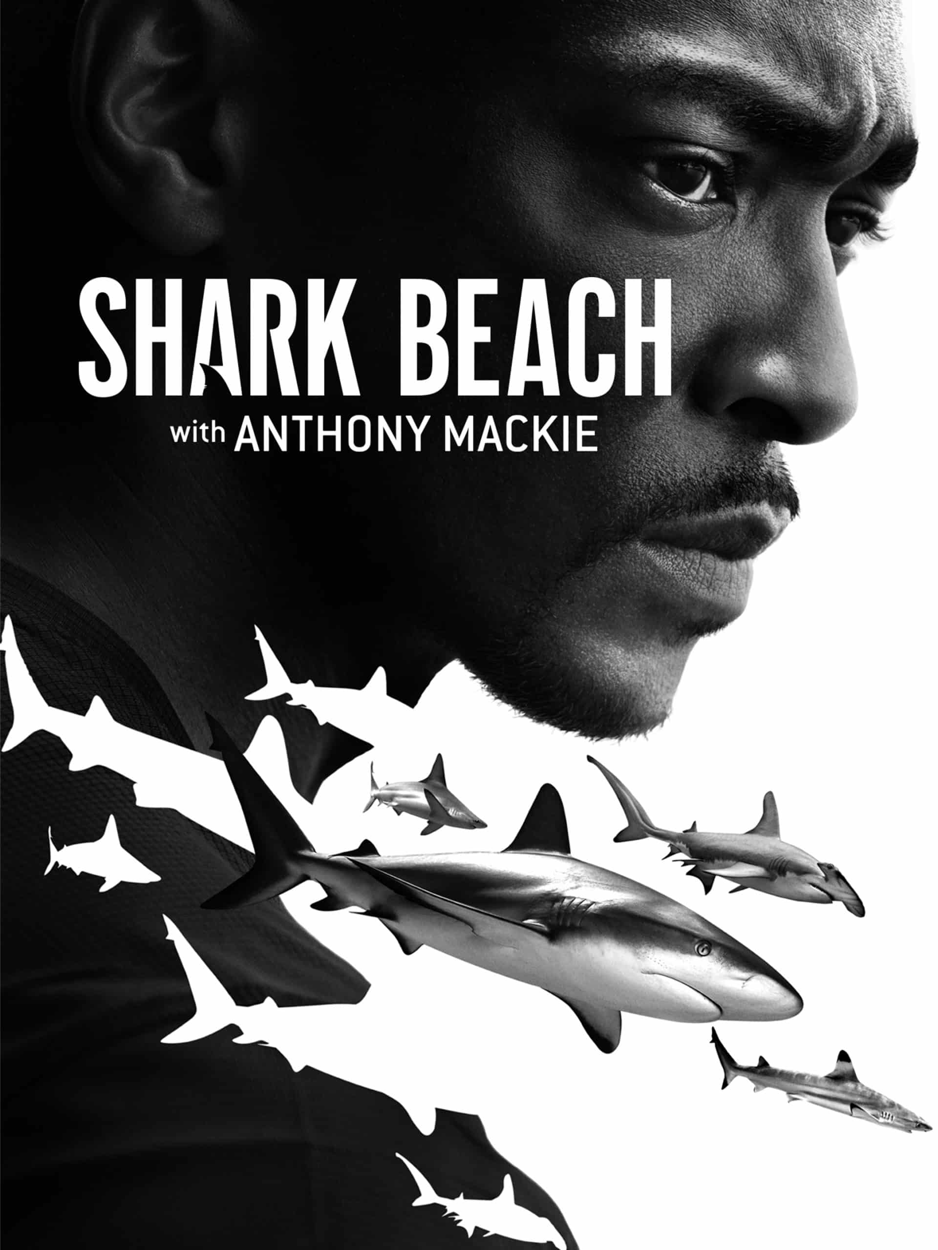 Shark Beach with Anthony Mackie: Gulf Coast – Behind the Bite  July 11 2024 on National Geographic
