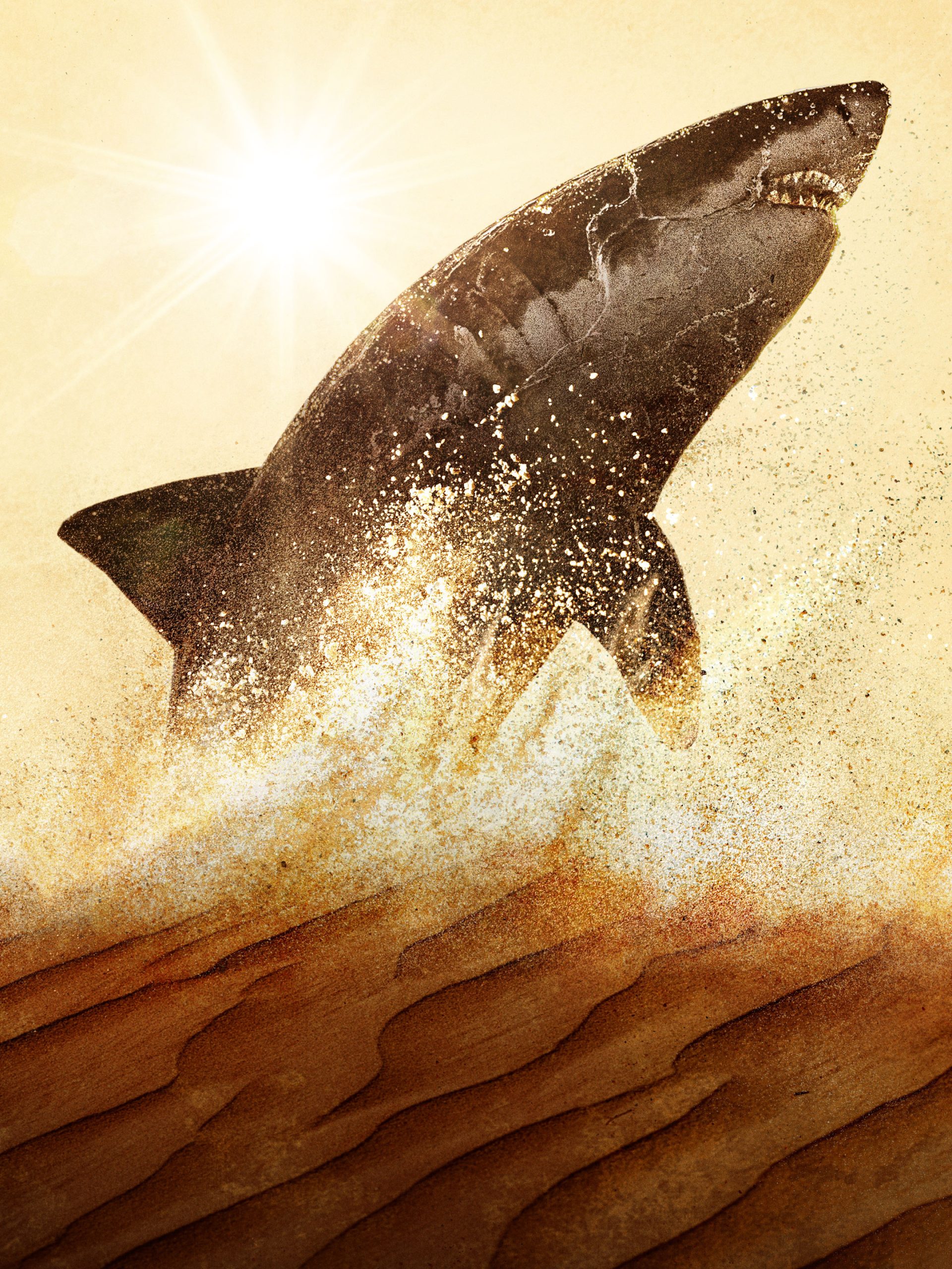 Attack of the Red Sea Sharks Reversion Snap-In  July 10 2024 on National Geographic