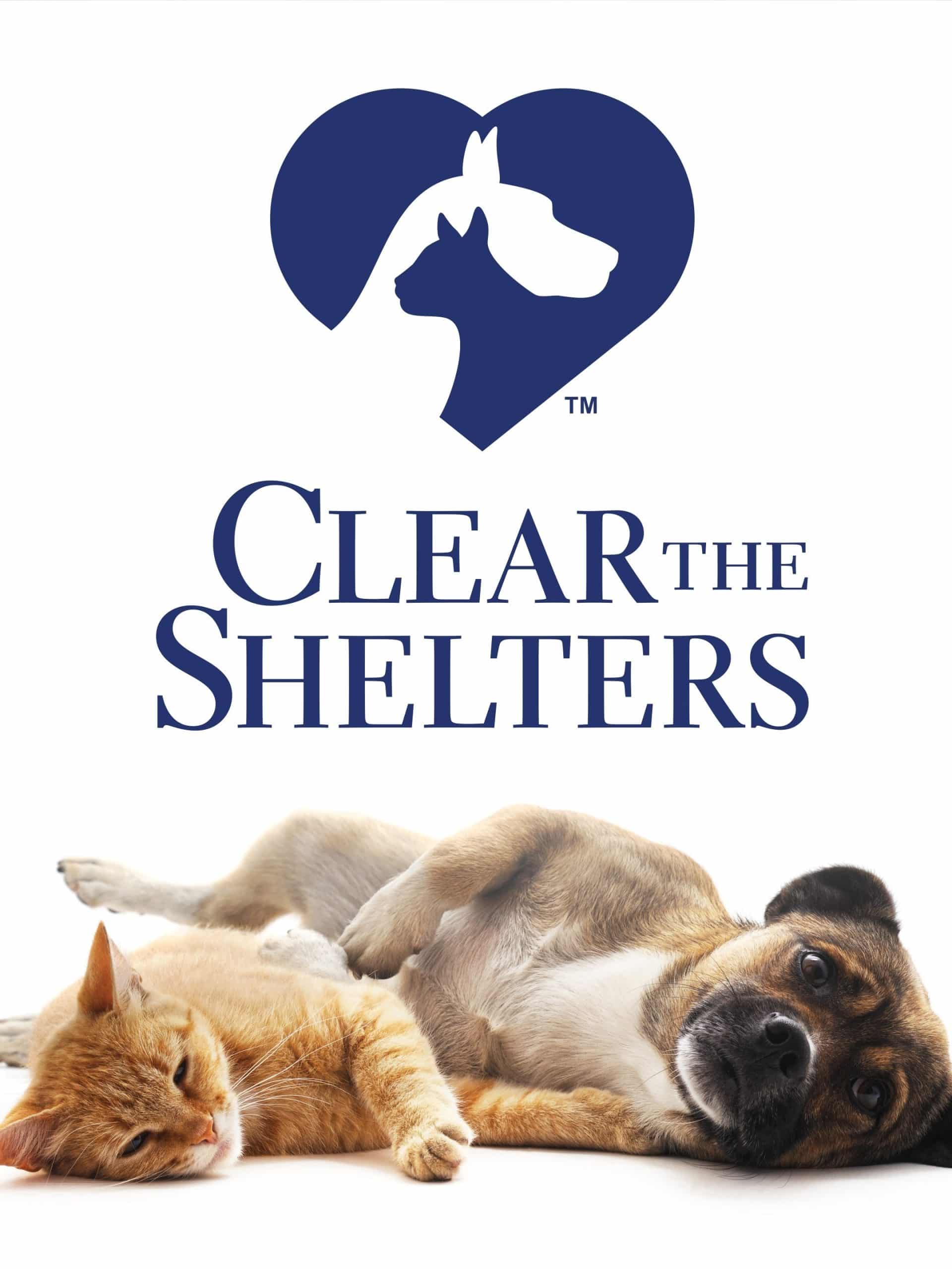 Clear the Shelters August 16 2024 on NBC 1 Clear the Shelters August 16 2024 on NBC