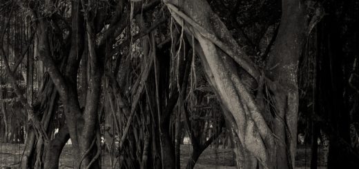 p28068315 b v13 aa