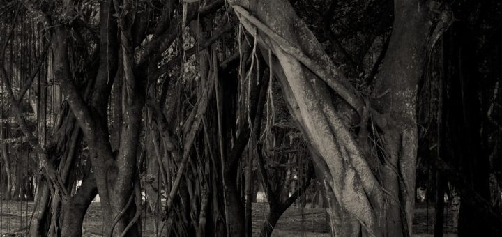 p28068315 b v13 aa