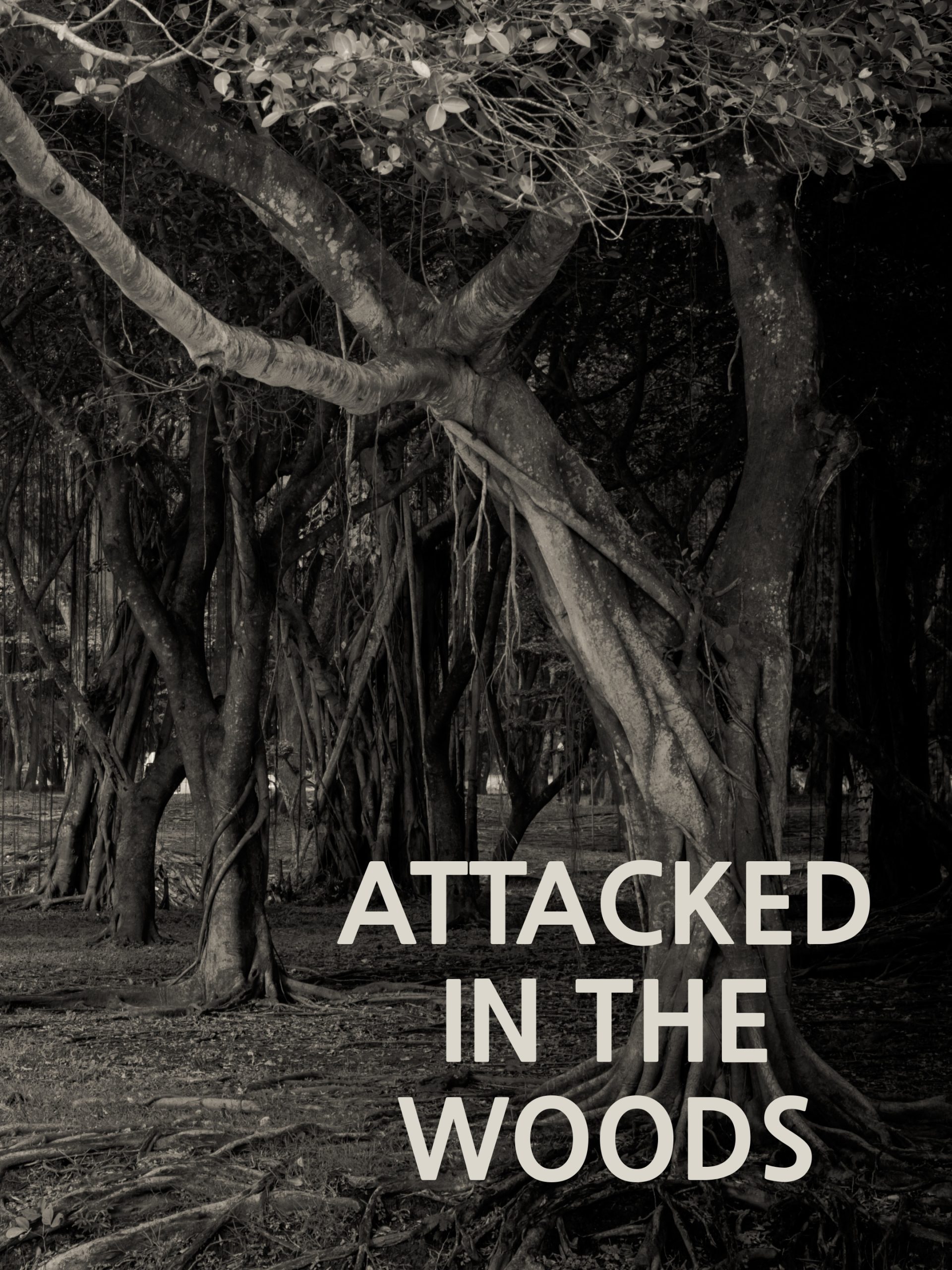 Attacked in the Woods September 7 2024 on Investigation Discovery 1 Attacked in the Woods September 7 2024 on Investigation Discovery