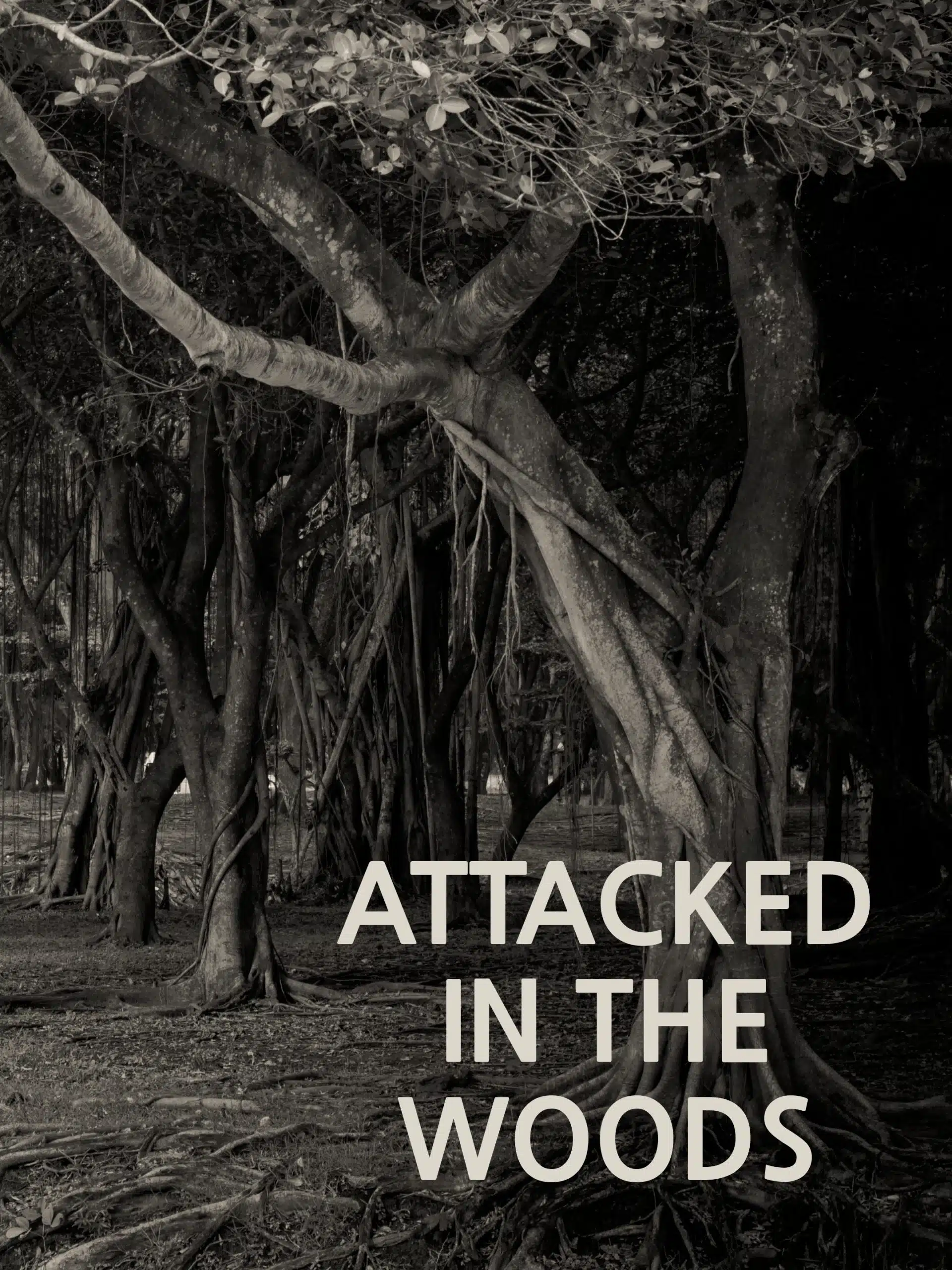 Attacked in the Woods September 7 2024 on Investigation Discovery 1 Attacked in the Woods September 7 2024 on Investigation Discovery