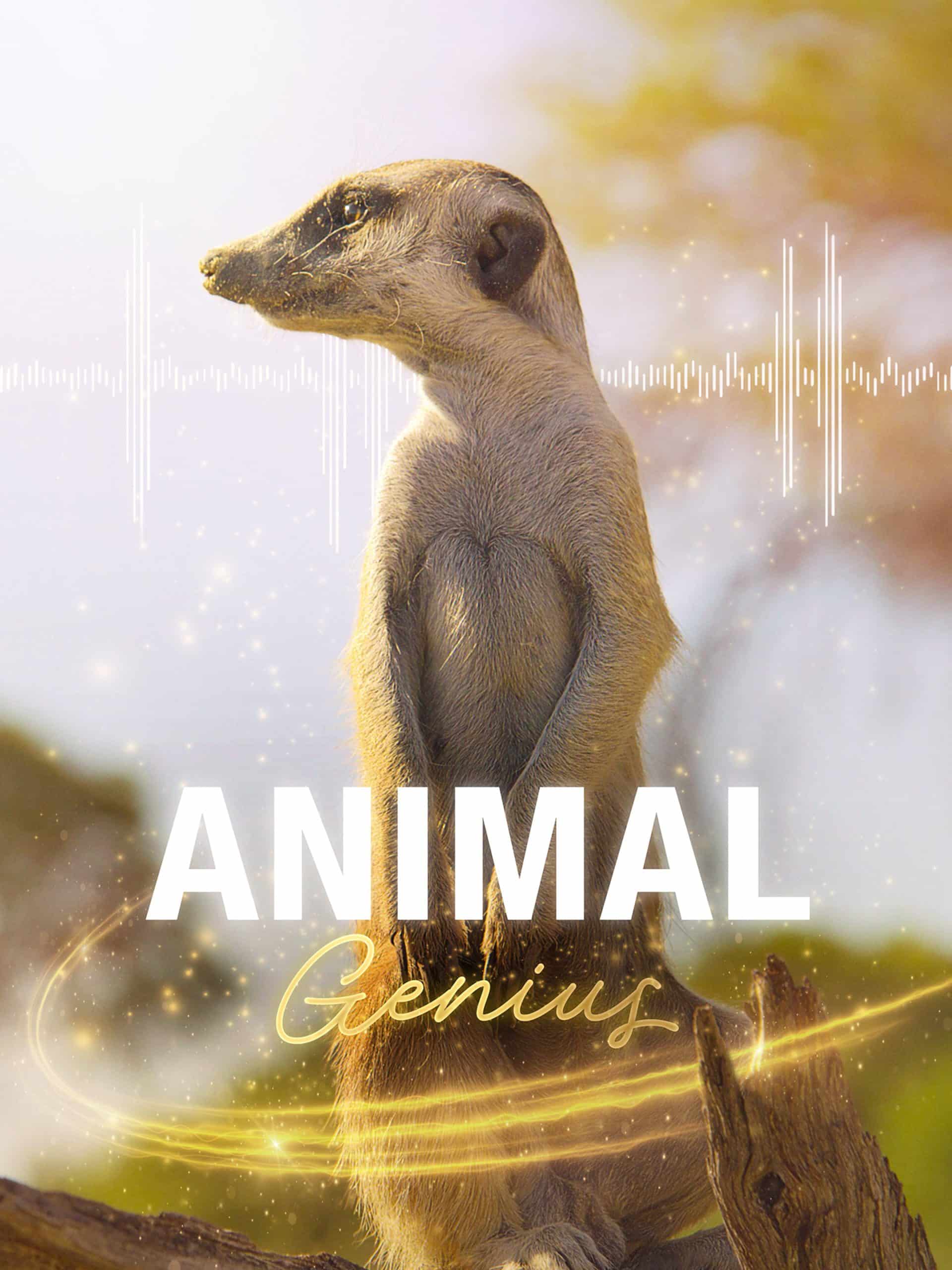 Animal Genius Animal Genius “Teamwork” S1E1 September 8 2024 on National Geographic
