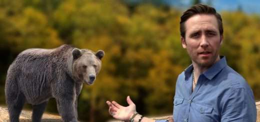 p10857086 b v13 ag 1