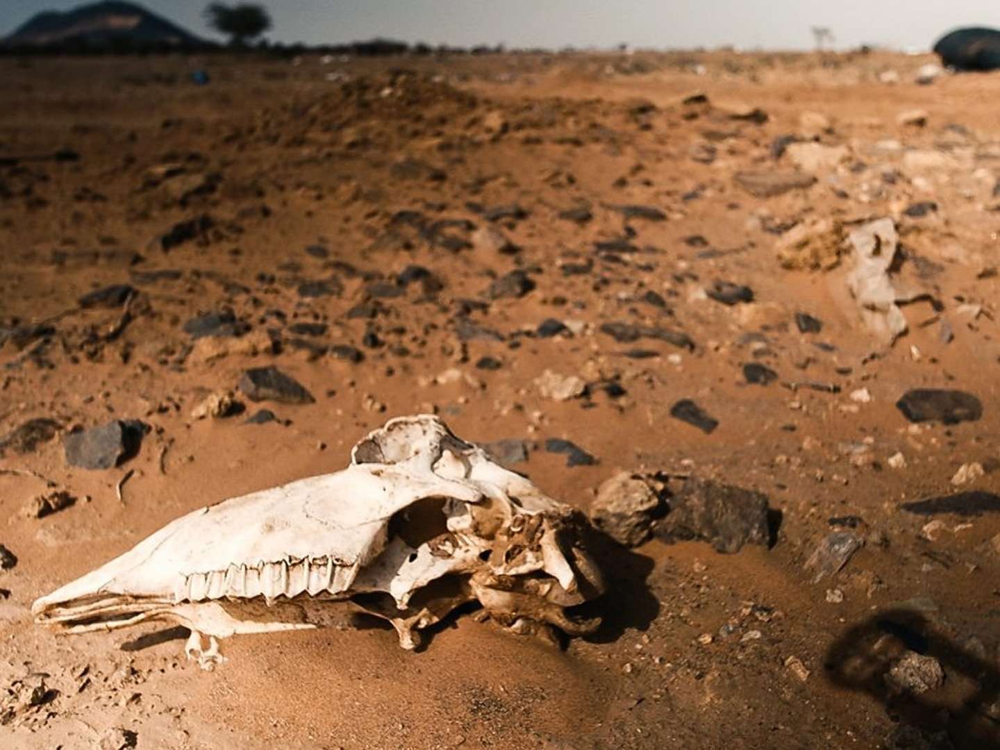 Life at 50 Degrees S2: 15 November 2024 on BBC One