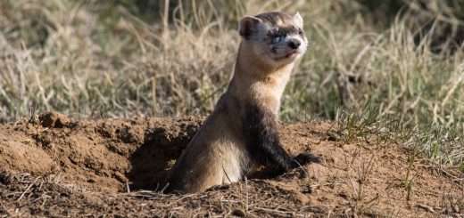 p28734334 i h10 aa 1