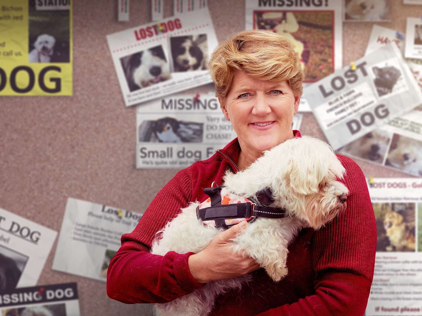 Lost Dog, Found Dog with Clare Balding S2E1 7 January 2025 on Channel 5
