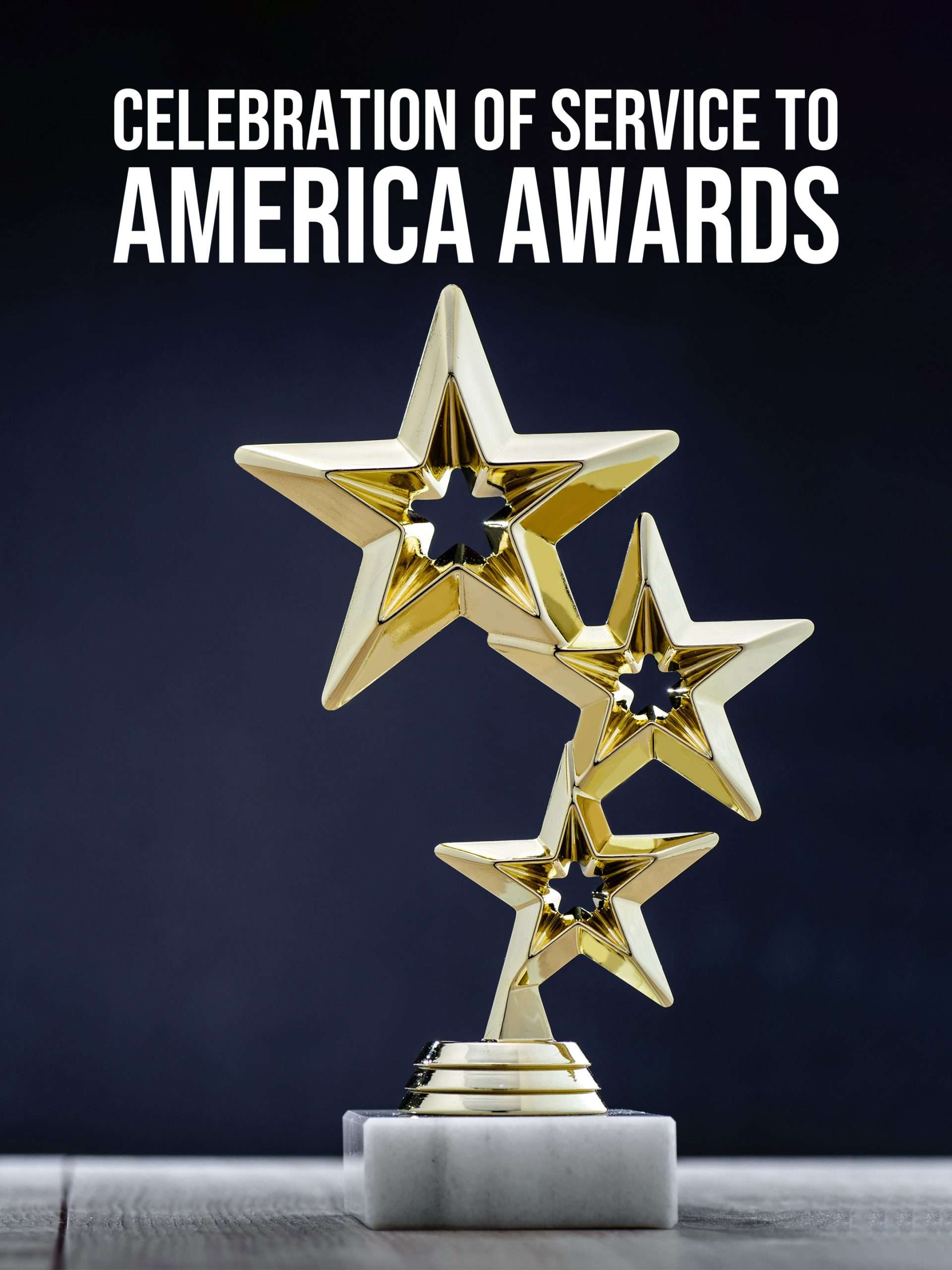 Celebration of Service to America Awards  December 29 2024 on NBC