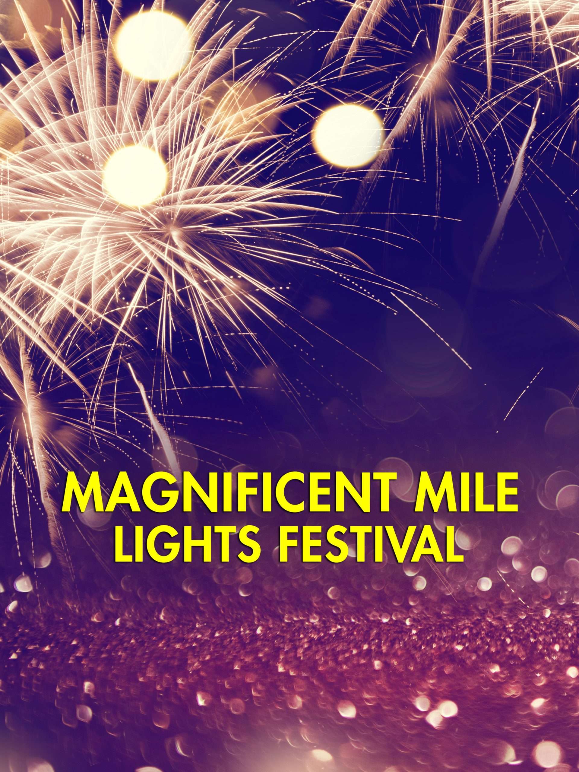 Magnificent Mile Lights Festival  December 8 2024 on ABC