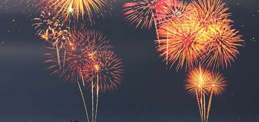 p29014608 b v13 aa 1