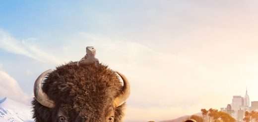 p27691411 b v13 ab 1