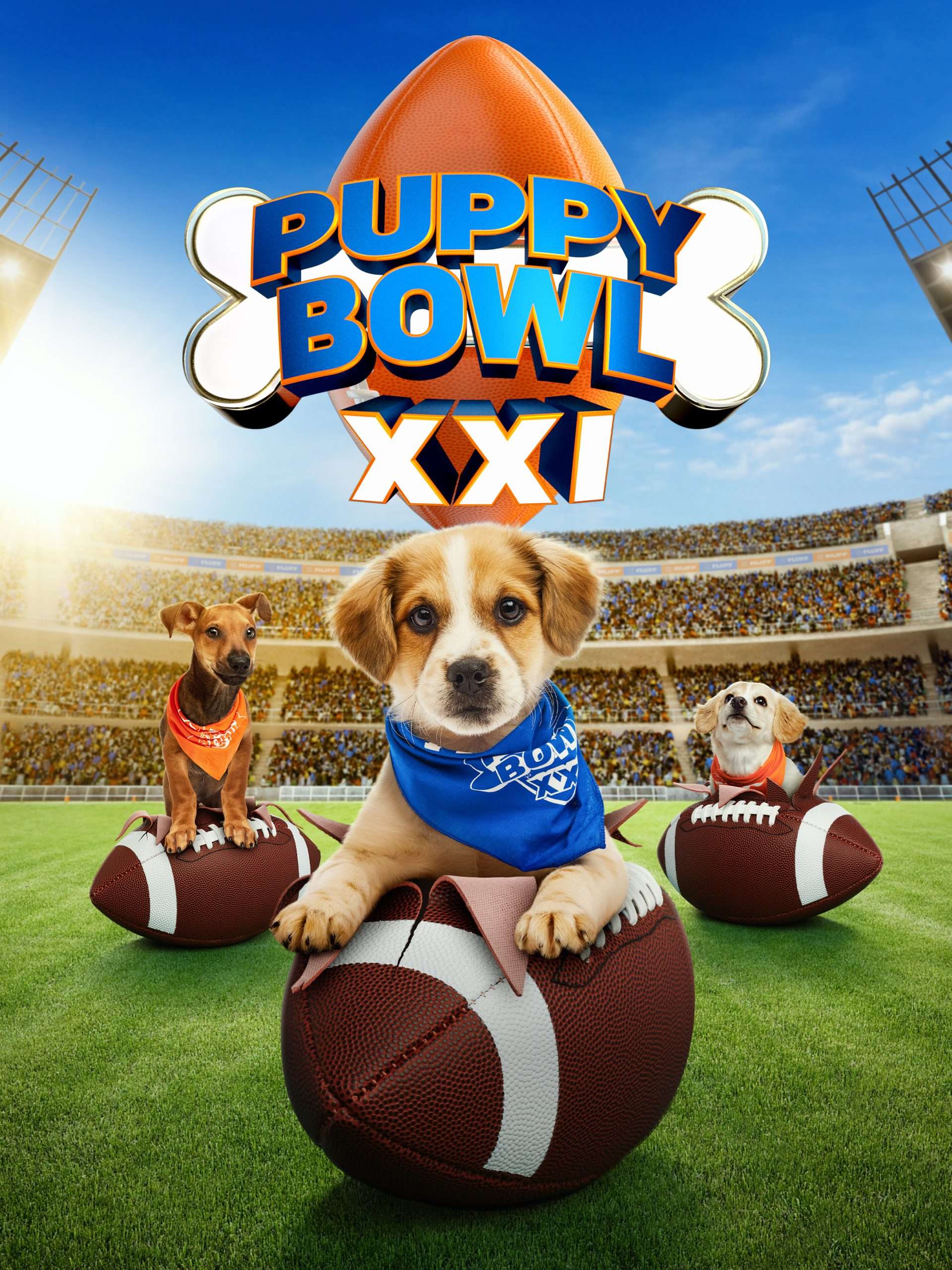 Puppy Bowl XXI  February 9 2025 on TBS