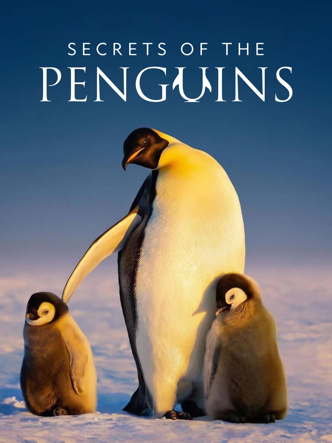 Secrets of the Penguins “Heart of the Emperors” S1E1 April 20 2025 on National Geographic