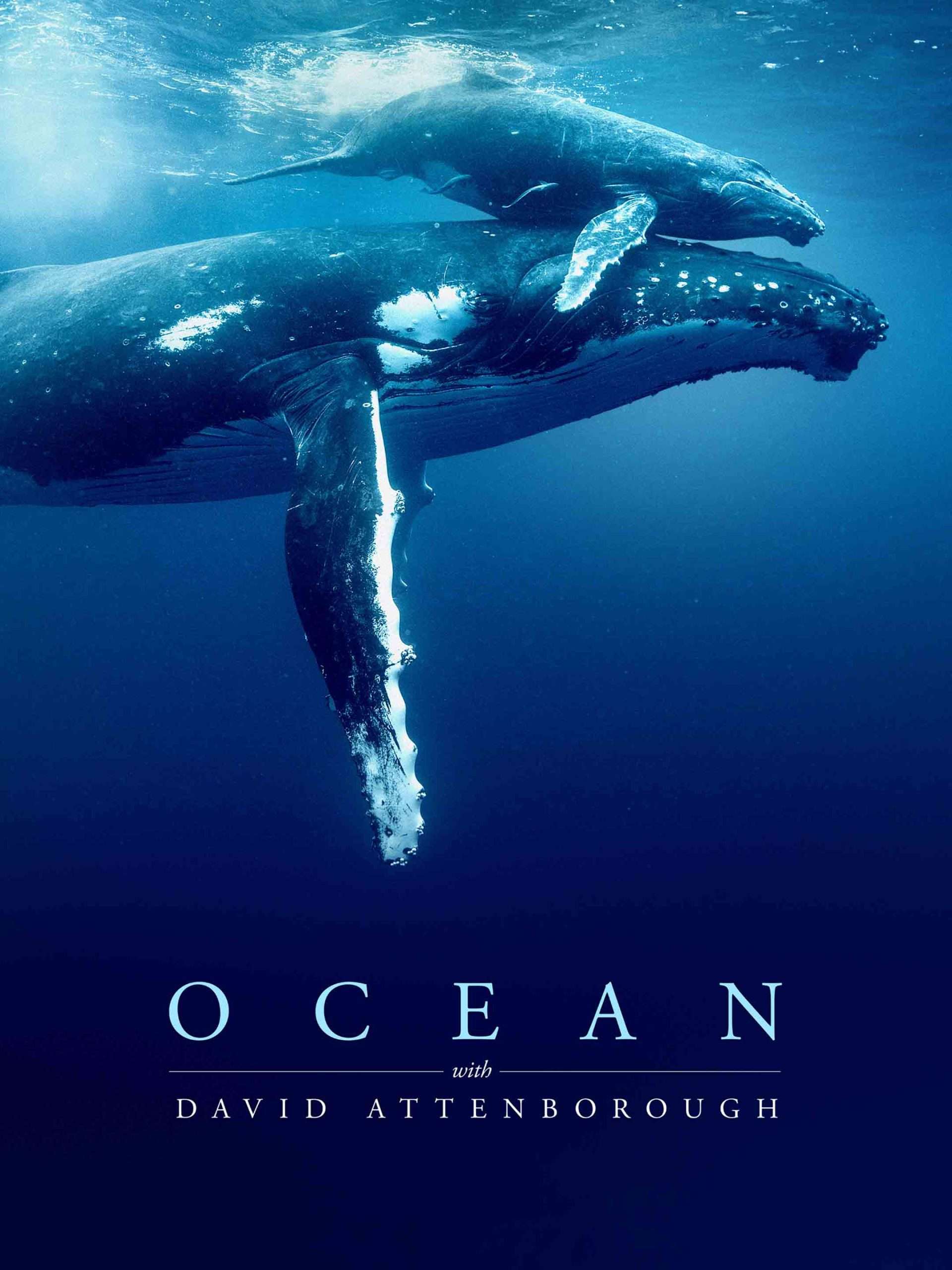 Ocean with David Attenborough June 7 2025 on National Geographic 1 Ocean with David Attenborough June 7 2025 on National Geographic