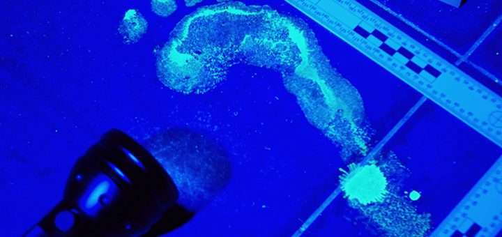 p30082101 b v13 aa