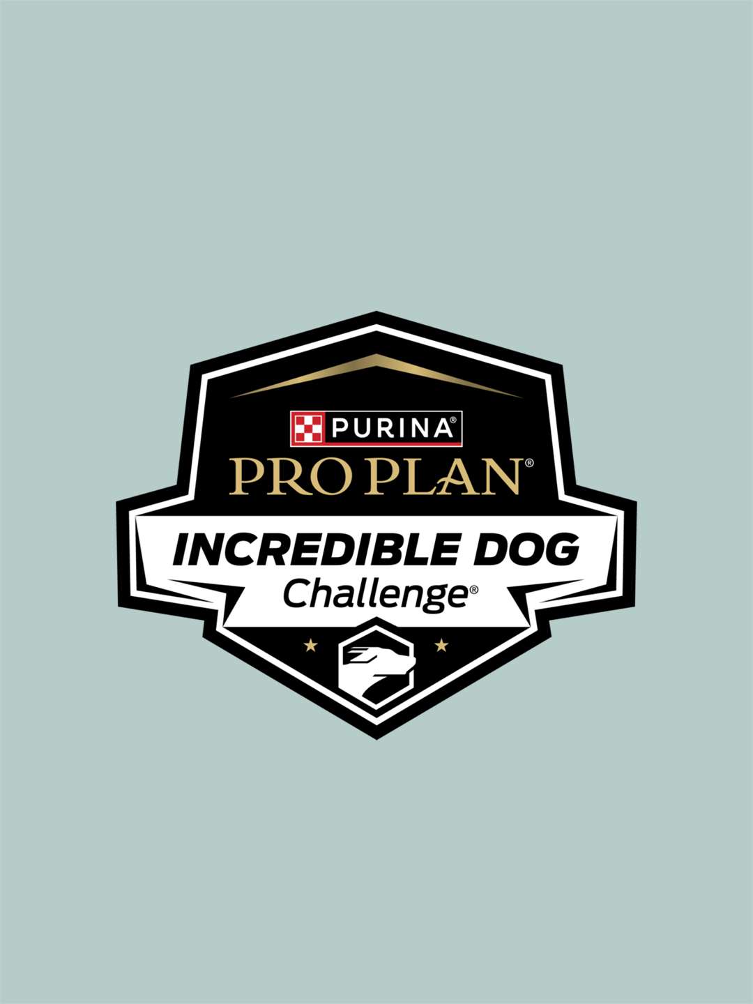 2025 Incredible Dog Challenge  July 6 2025 on NBC