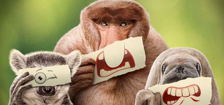 p30209424 b v13 ag 1