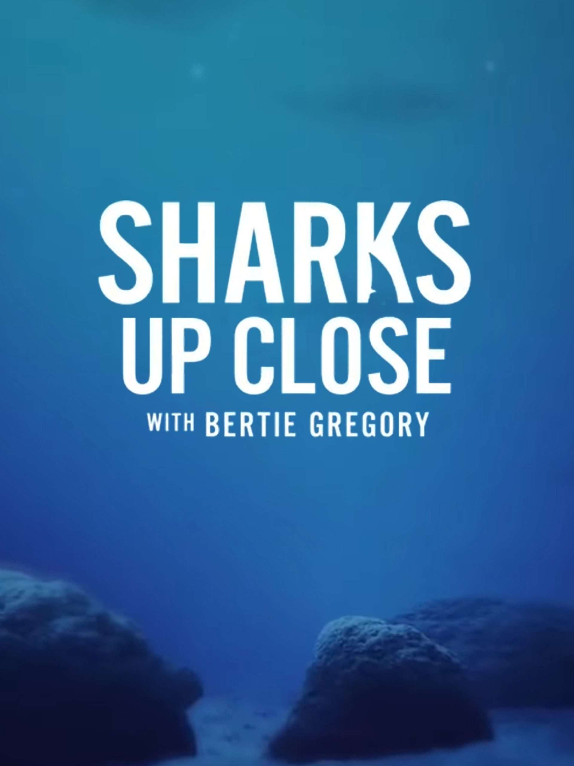 Sharks Up Close with Bertie Gregory July 5 2025 on National Geographic 1 Sharks Up Close with Bertie Gregory July 5 2025 on National Geographic