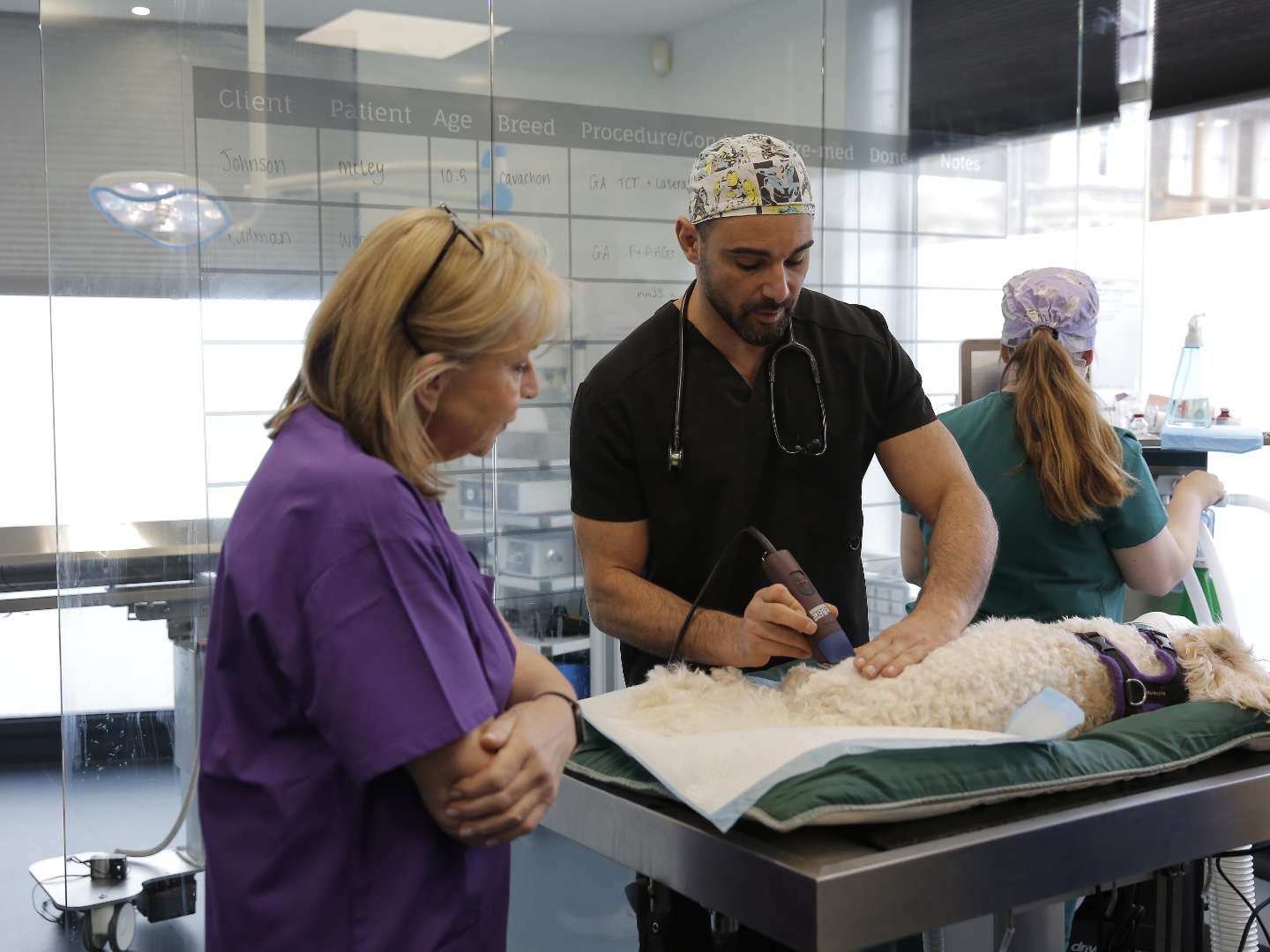 Fern Britton: Inside the Vet’s S1E1 4 July 2025 on ITV
