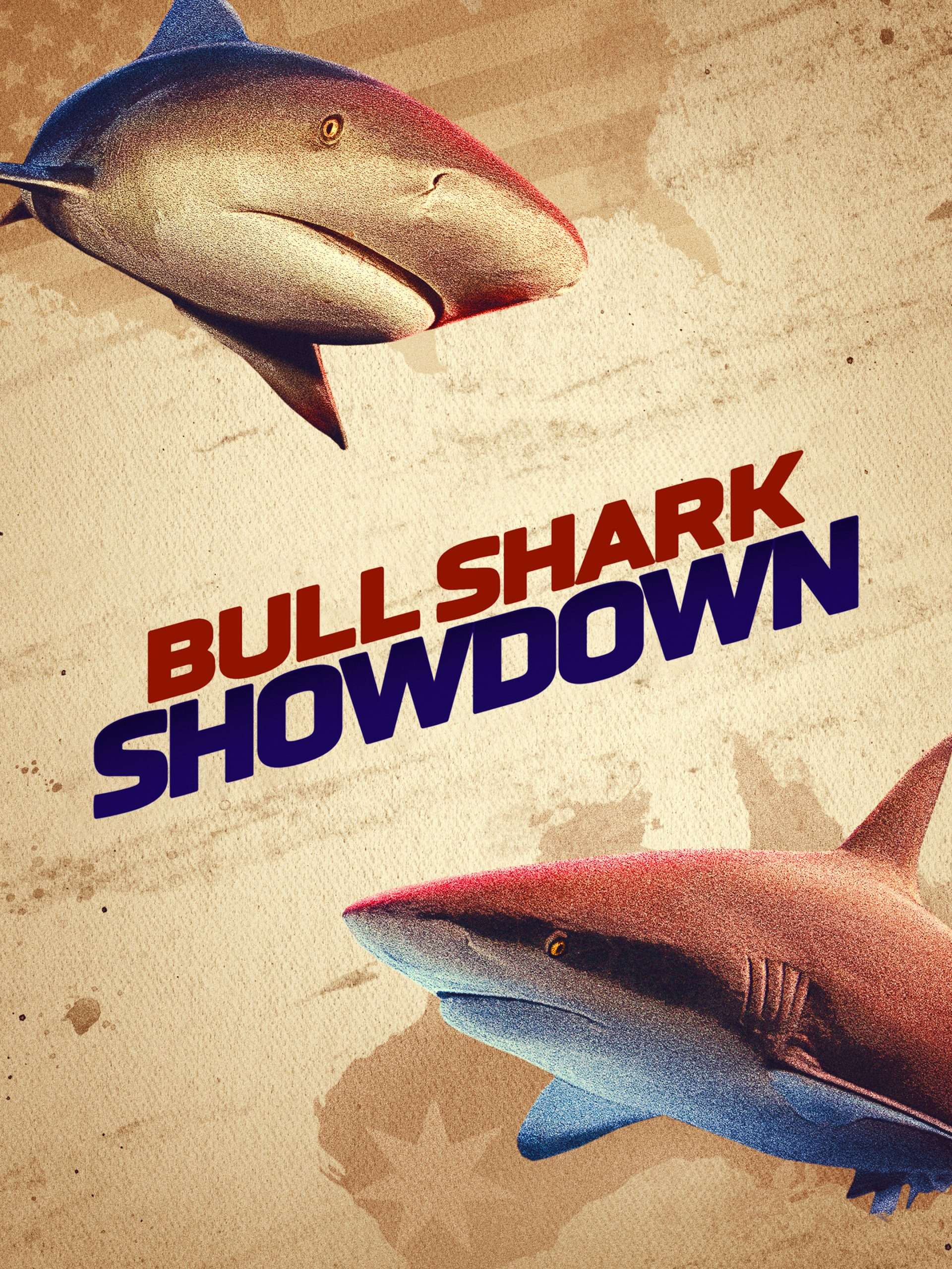 Bull Shark Showdown  July 25 2025 on Discovery